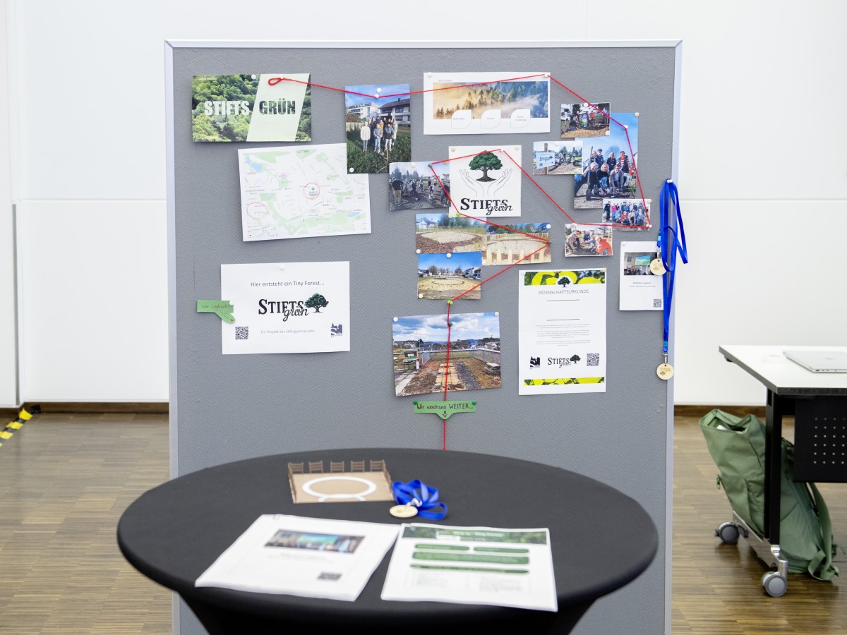 Stiftsgymnasium Sindelfingen: StiftsGrün